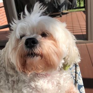 Meet your Posher, Sharon